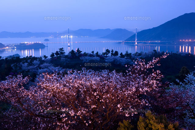 開山展望台から望む桜と夕景の多々羅大橋
(c)YOSHIO SHINKAI/SEBUN PHOTO