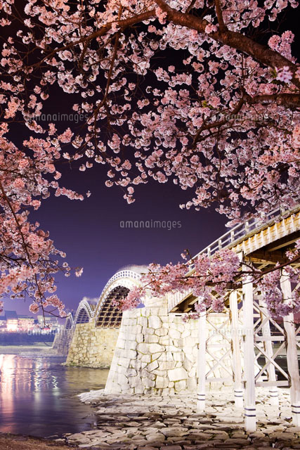 錦帯橋の夜桜
(c)YOSHIO SHINKAI/SEBUN PHOTO