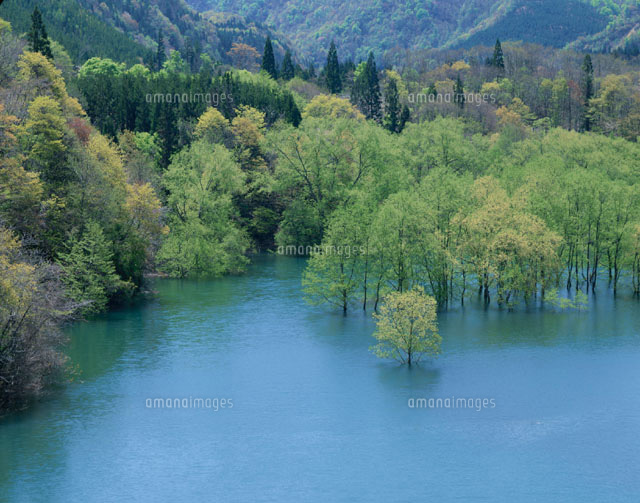 美山湖の白神山地の風景 西目屋村 青森県
(c)KAZUNORI ARAKI/SEBUN PHOTO