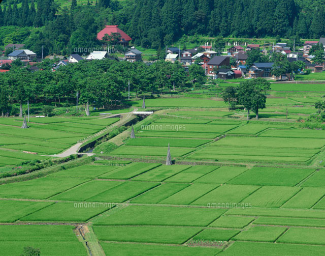 緑田と山里 津南町 新潟県
(c)KAZUNORI ARAKI/SEBUN PHOTO