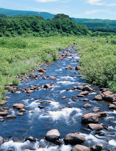 月光川の渓流の風景 春 遊佐町 山形県
(c)KAZUNORI ARAKI/SEBUN PHOTO