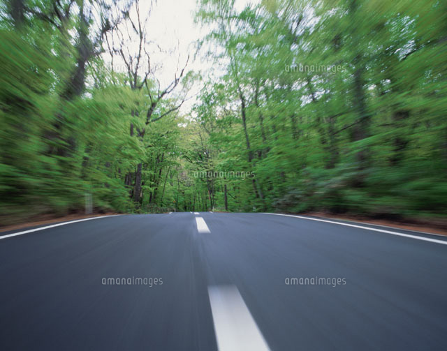 森の中の道路 青森県
(c)KAZUNORI ARAKI/SEBUN PHOTO