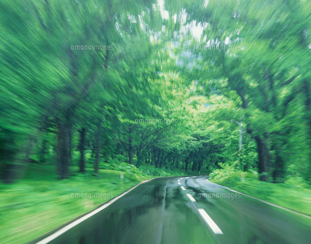 十和田の緑の森の道 青森県
(c)KAZUNORI ARAKI/SEBUN PHOTO