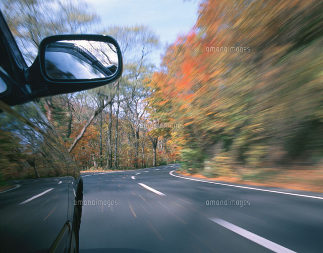 秋の森の中の道路を走る車 青森県
(c)KAZUNORI ARAKI/SEBUN PHOTO