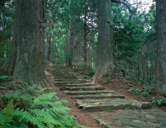 熊野古道 大門坂 和歌山県
(c)TATSUO SAEKI/SEBUN PHOTO