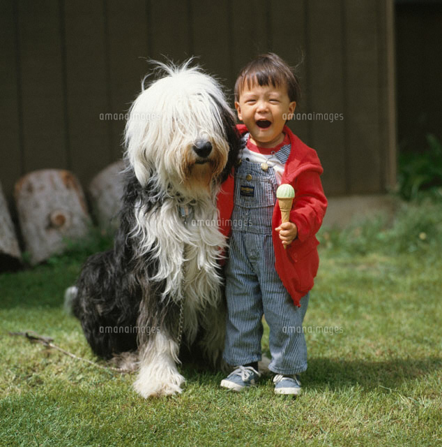 日本人の男の子とペットの犬
(c)STUDIO SATO/orion