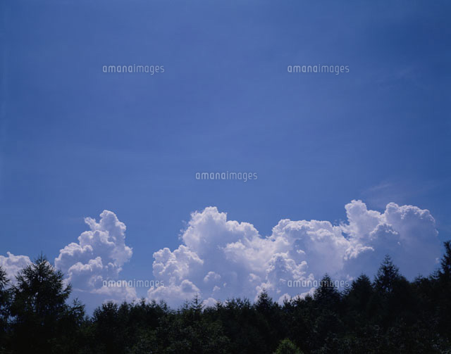 散乱雲
(c)STUDIO SATO/orion
