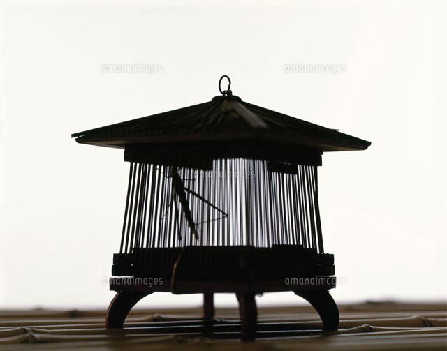 虫カゴ
(c)STUDIO SATO/orion