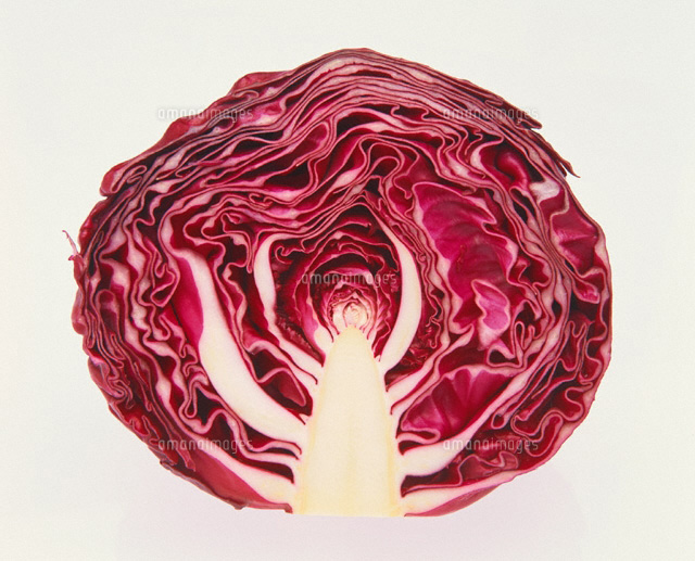 柴キャベツ(半分)
(c)STUDIO SATO/orion
