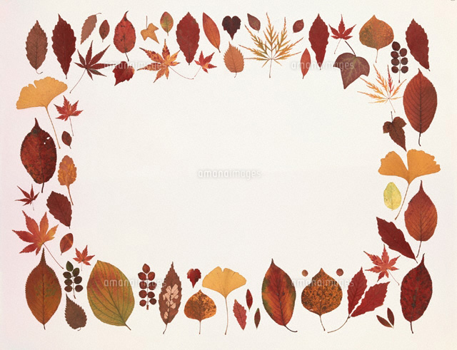 紅葉のパターン
(c)STUDIO SATO/orion