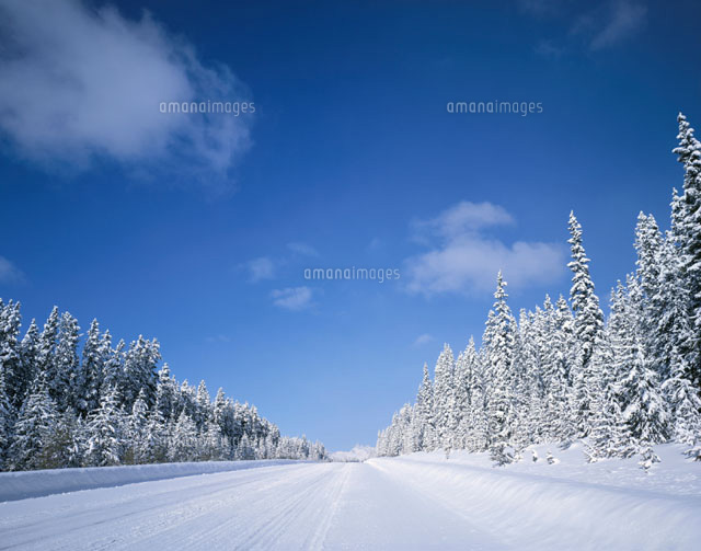 バンフ国立公園の樹氷と雪道 カナダ
(c)SAN HOYANO/SEBUN PHOTO