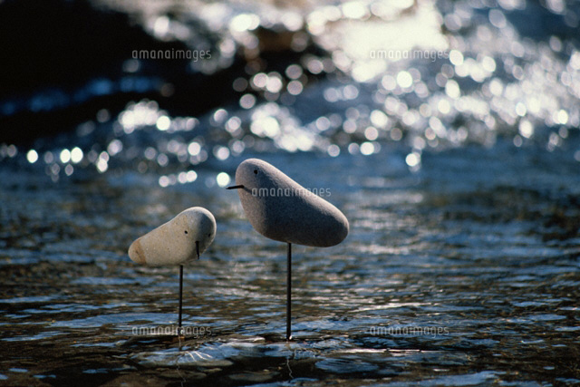 石の鳥
(c)HIROSHI SATO