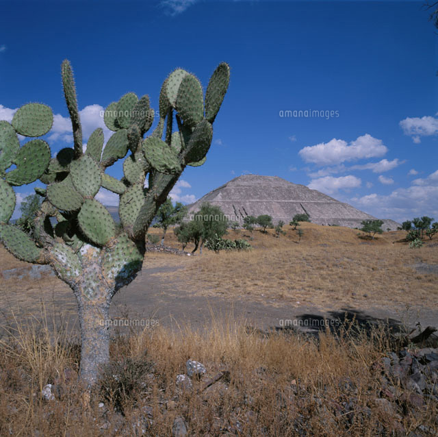 テオティ・ワカン遺跡 メキシコ
(c)KUNIKO SAKAMOTO/SEBUN PHOTO
