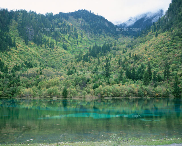 九寨溝 孔雀河道 南坪県 四川省 中国
(c)KUNIKO SAKAMOTO/SEBUN PHOTO
