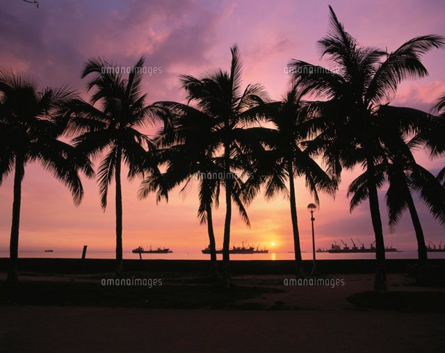 マニラ湾の夕日
(c)WEST SIDE/SEBUN PHOTO