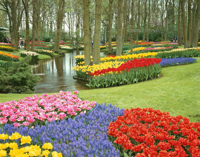 キューケンホフ公園 リッセ オランダ
(c)WEST SIDE/SEBUN PHOTO
