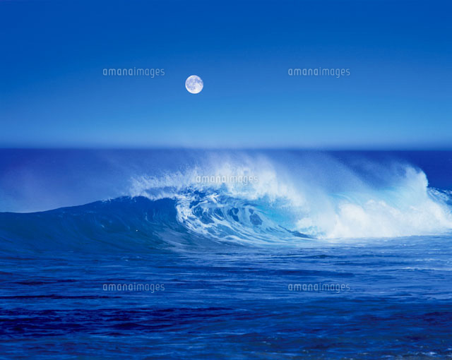 満月と海の波しぶき
(c)NAOTO SHIBUYA/orion