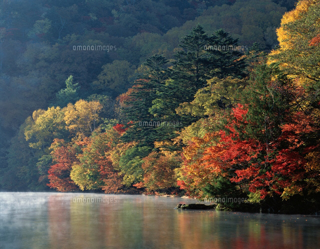 秋の中禅寺湖と朝霧 栃木県
(c)TAKASHI SATO/SEBUN PHOTO
