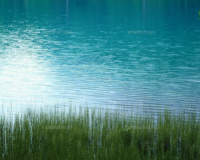 さざなみの湖面 6月
(c)TAKASHI SATO/SEBUN PHOTO