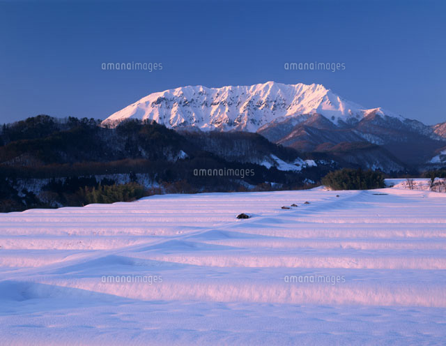 夕映えの大山と雪原 江府町 鳥取県
(c)TAKASHI SATO/SEBUN PHOTO