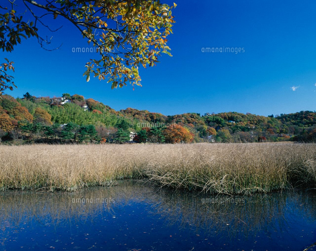 一碧湖 静岡県
(c)TAKASHI SATO/SEBUN PHOTO