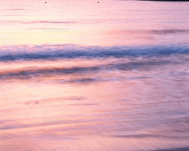 朝の渚
(c)TAKASHI SATO/SEBUN PHOTO
