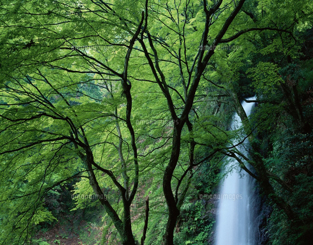養老の滝 岐阜県
(c)TAKASHI SATO/SEBUN PHOTO