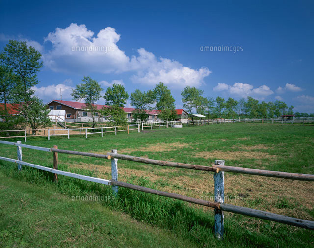 鳥海高原の牧場 由利町 秋田県
(c)TAKASHI SATO/SEBUN PHOTO