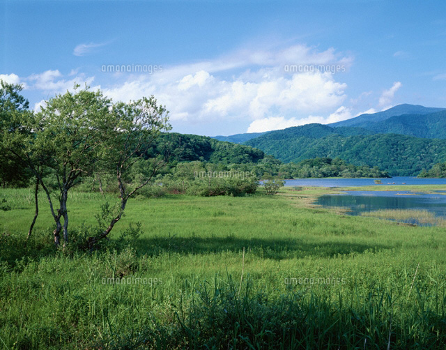 草原と桧原湖 裏磐梯 福島県
(c)TAKASHI SATO/SEBUN PHOTO