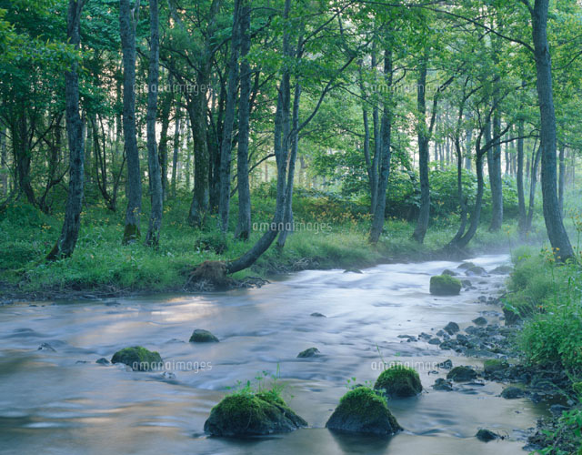 朝の桧原川 裏磐梯 福島県
(c)TAKASHI SATO/SEBUN PHOTO