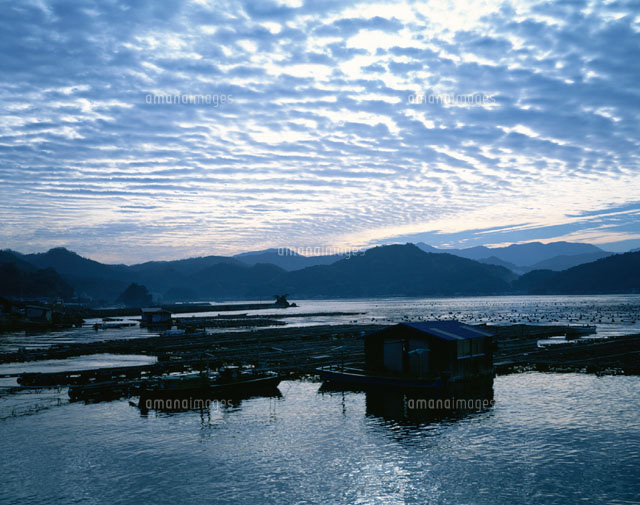 朝の宇和海 吉田町 愛媛県
(c)TAKASHI SATO/SEBUN PHOTO