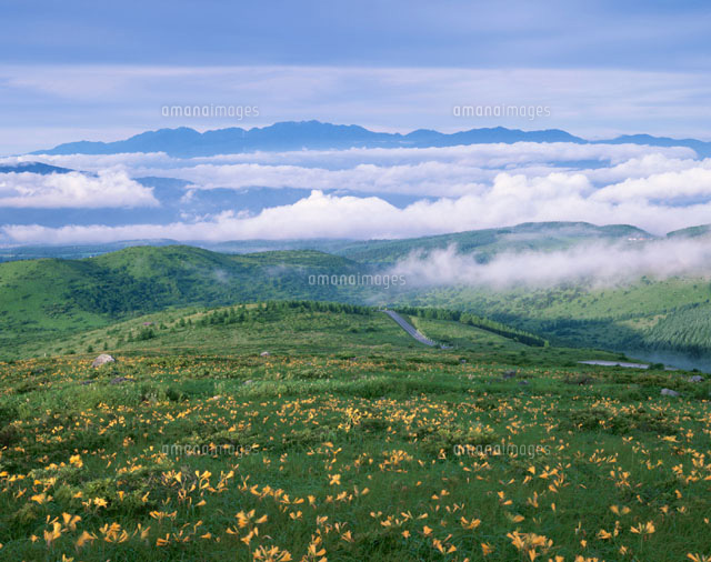 ニッコウキスゲとアルプス の朝景 霧ケ峰 長野県
(c)TAKASHI SATO/SEBUN PHOTO