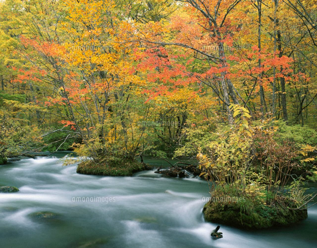 紅葉の奥入瀬渓流 青森県
(c)TAKASHI SATO/SEBUN PHOTO