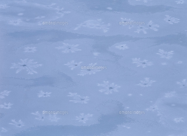 氷の模様
(c)TAKASHI SATO/SEBUN PHOTO