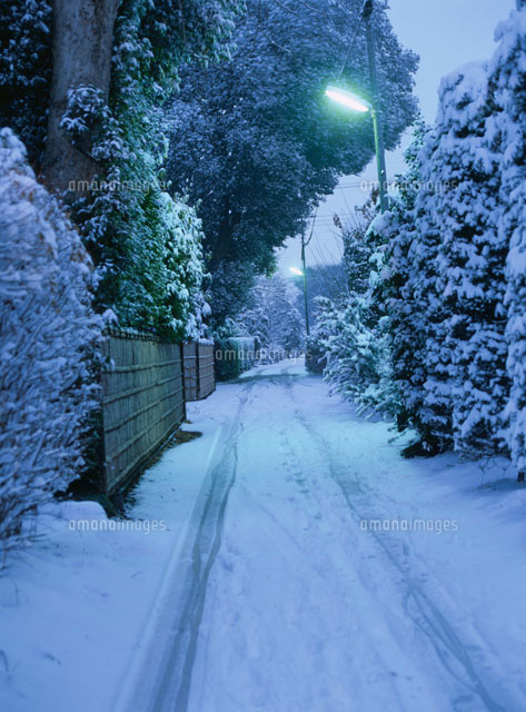 雪の道と街灯
(c)TAKASHI SATO/SEBUN PHOTO