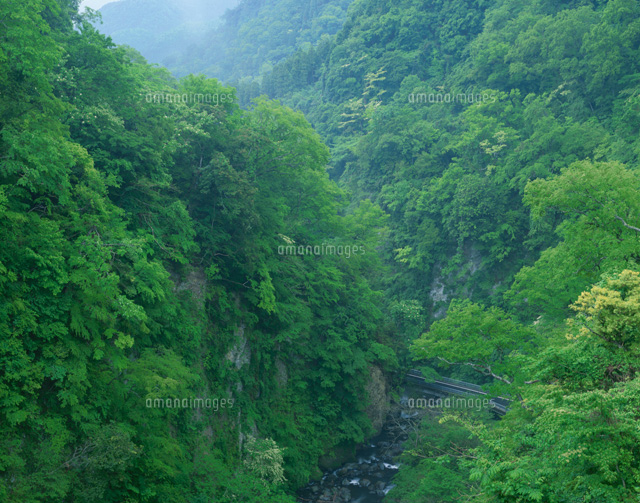 九酔渓 大分県
(c)TAKASHI SATO/SEBUN PHOTO