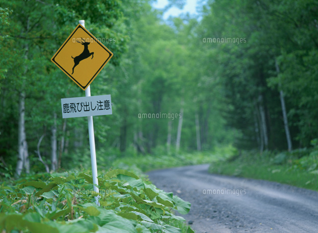 標識と砂利道
(c)TAKASHI SATO/SEBUN PHOTO