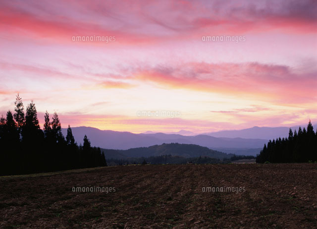 畑の夕景
(c)TAKASHI SATO/SEBUN PHOTO