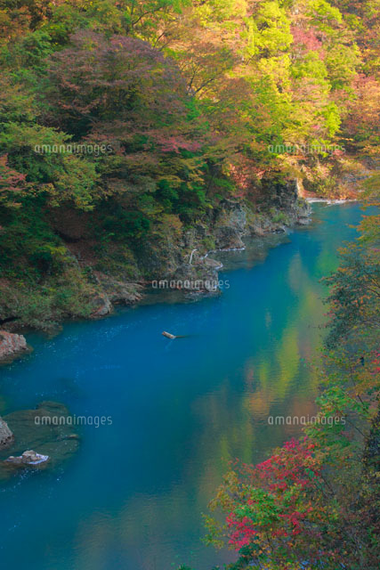 抱返渓谷
(c)TAKASHI SATO/SEBUN PHOTO