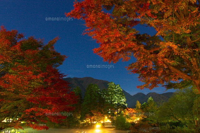 星空と夜の金鱗湖
(c)TAKASHI SATO/SEBUN PHOTO