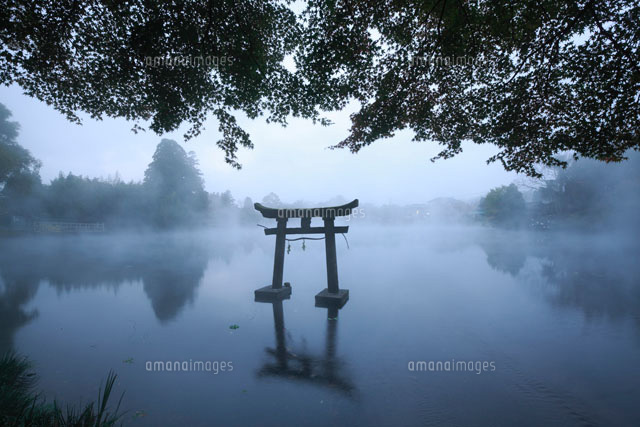 朝霧の金鱗湖
(c)TAKASHI SATO/SEBUN PHOTO