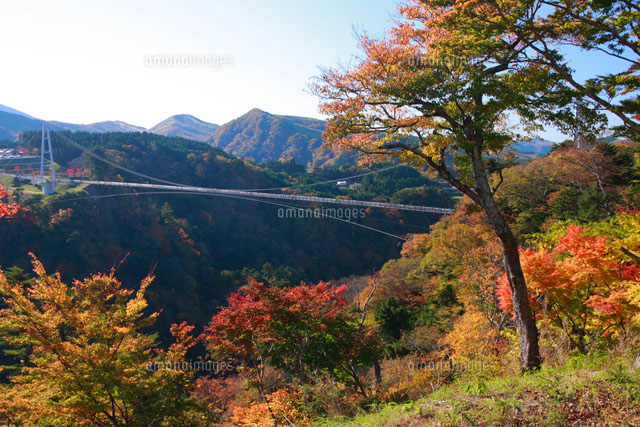 九重夢大吊橋
(c)TAKASHI SATO/SEBUN PHOTO