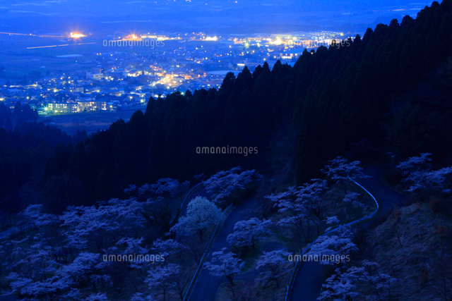 高森峠千本桜夜景
(c)TAKASHI SATO/SEBUN PHOTO