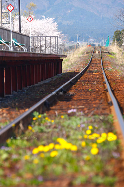 タンポポと線路
(c)TAKASHI SATO/SEBUN PHOTO