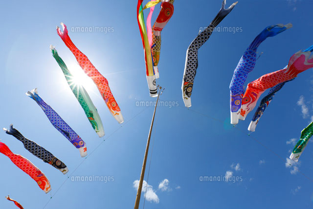 鯉のぼり
(c)TAKASHI SATO/SEBUN PHOTO