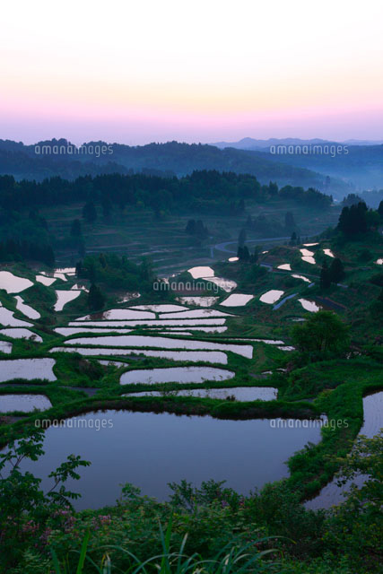 朝の星峠の棚田 松代
(c)TAKASHI SATO/SEBUN PHOTO