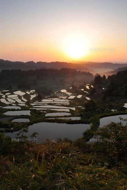 朝日と星峠の棚田 松代
(c)TAKASHI SATO/SEBUN PHOTO