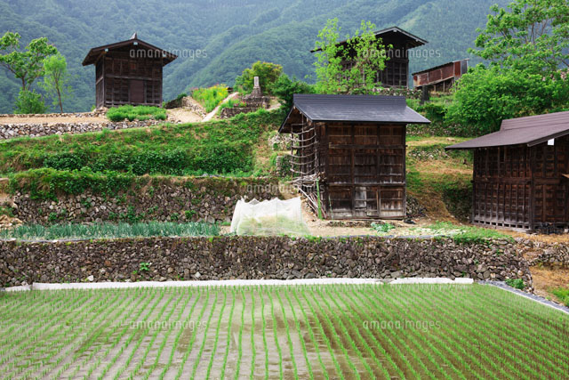板倉の里
(c)TAKASHI SATO/SEBUN PHOTO