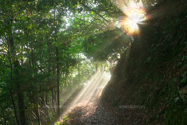 小雲取越え 熊野古道
(c)TAKASHI SATO/SEBUN PHOTO
