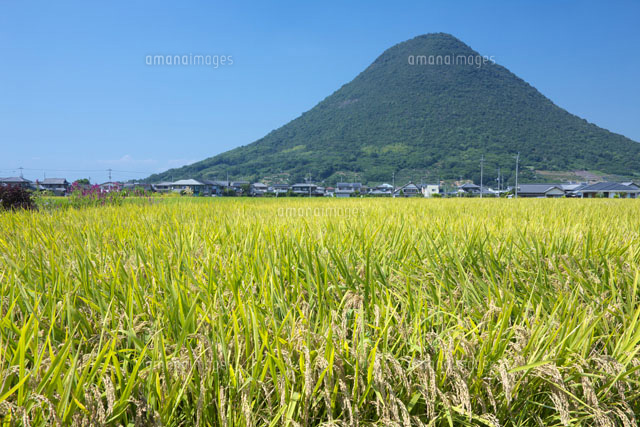 田んぼと飯野山(讃岐富士)
(c)TAKASHI SATO/SEBUN PHOTO